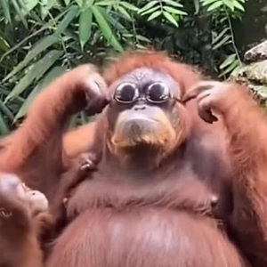 Meet your Posher, Alejandro